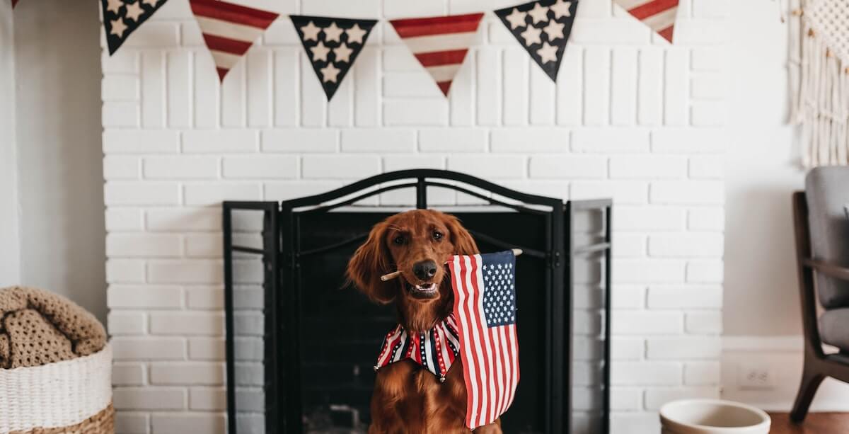 decorate your home with American flags