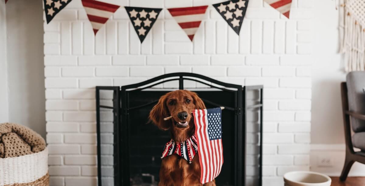 decorate your home with American flags
